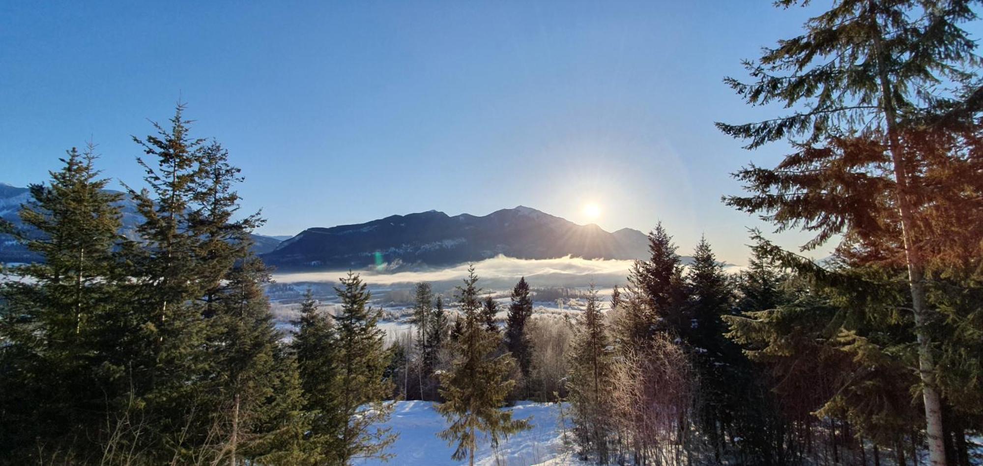 Alpine Meadows Lodge Голдън Екстериор снимка
